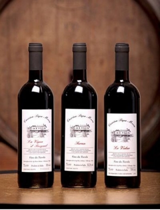  Monferrato wine tasting